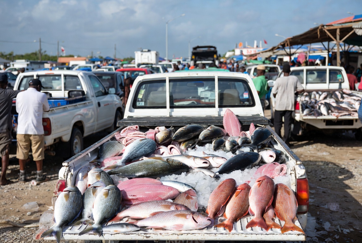 Fishers Struggle with Inefficiency